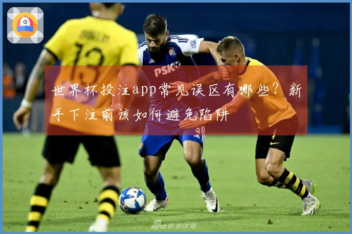 世界杯投注app常见误区有哪些?新手下注前该如何避免陷阱