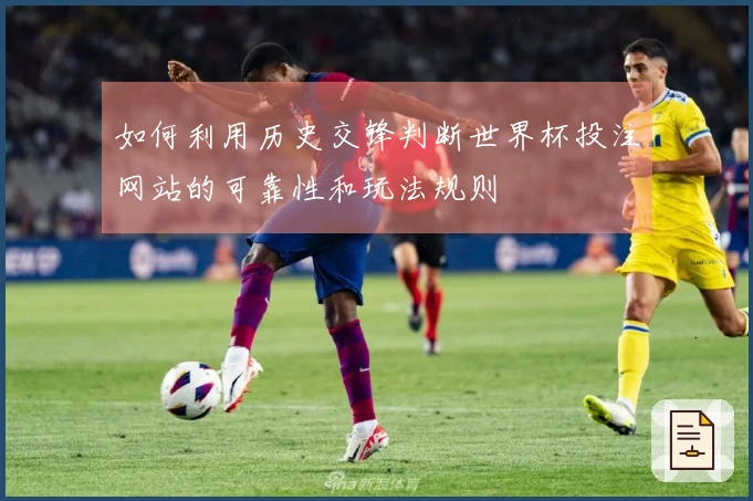 如何利用历史交锋判断世界杯投注网站的可靠性和玩法规则